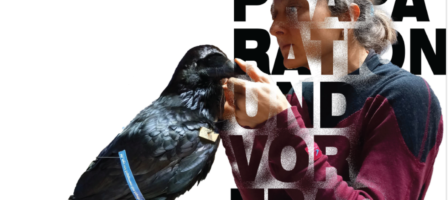 Flyre Schaupräparation